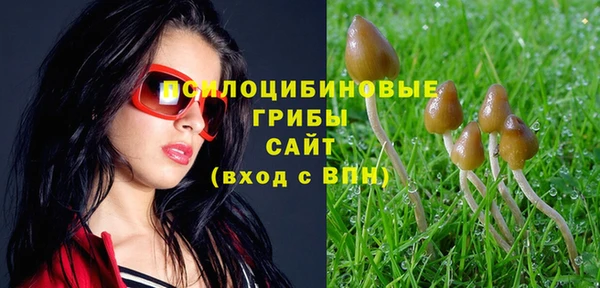 ешки Белоозёрский