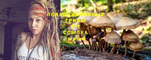 гидра Беломорск